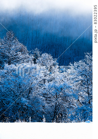 雪景色 雪景色 83022395