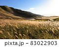 奈良県曽爾高原のススキ 83022903