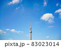 アルカキット錦糸町から見えるスカイツリー 83023014