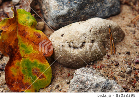 Smiley face stone lying on sandy road near fallen autumn oak leaf Smiley face stone lying on sandy road near fallen autumn oak leaf 83023399