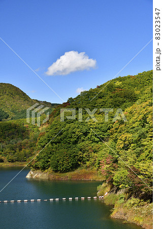 秋の北海道函館市の新中野ダムの風景を撮影 83023547