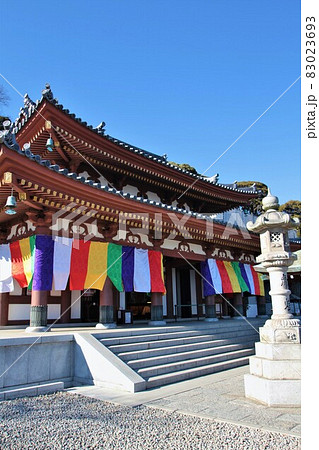 長谷寺（神奈川県鎌倉市） 83023693