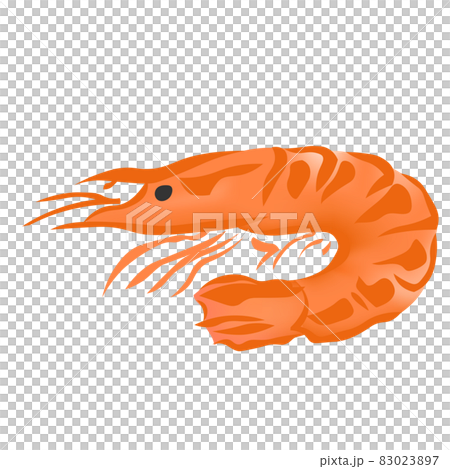 海老(おせち料理イラスト) 海老(おせち料理イラスト) 83023897