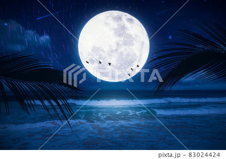 Full moon with star fall and birds flying at tropical beach abstract background. Travel vacation freedom and nature environment concept. 83024424