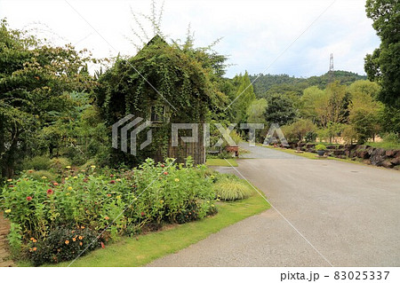 イングリッシュガーデン 11 滋賀県米原市 ローザンベリー多和田 の写真素材
