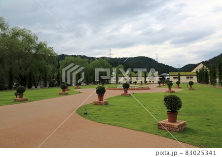 イングリッシュガーデン 15 滋賀県米原市 ローザンベリー多和田 の写真素材