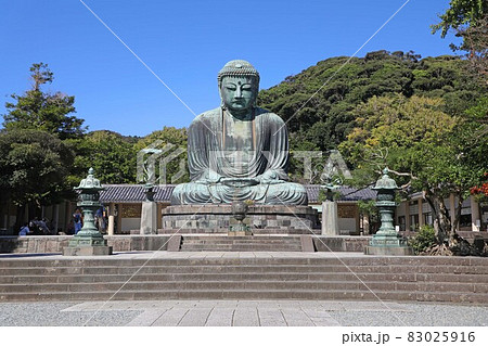 高徳院の鎌倉大仏 高徳院の鎌倉大仏 83025916