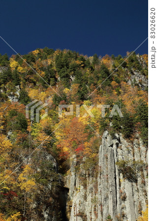 天人峡の紅葉 83026620