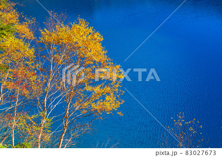 《長野県》紅葉の大沼池・志賀高原 《長野県》紅葉の大沼池・志賀高原 83027673