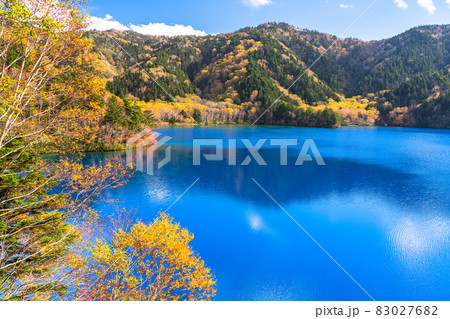 《長野県》紅葉の大沼池・志賀高原 83027682