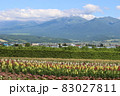 北海道の夏 83027811