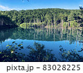 北海道の青い池 83028225