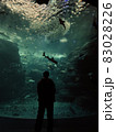 水族館(地獄・ラスボス) 83028226