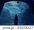 水族館(天国) 83028227