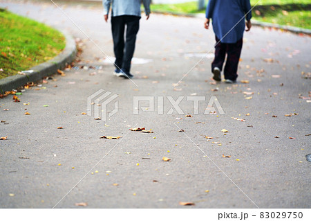 風になびく落ち葉の散歩道 風になびく落ち葉の散歩道 83029750