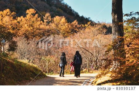 Autumn scenery at sunny day 83030137