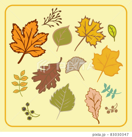 autumn leaf bundle vector image for season or holiday concept 83030347