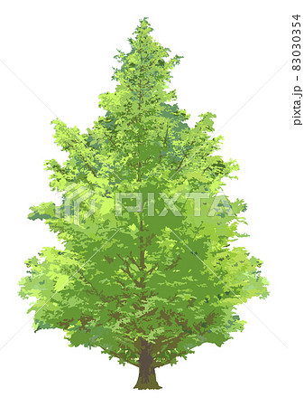 木 イチョウ 桂 欅のイラスト素材