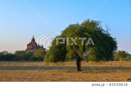 Ancient Buddhist temple in Bagan, Myanmar 83030610