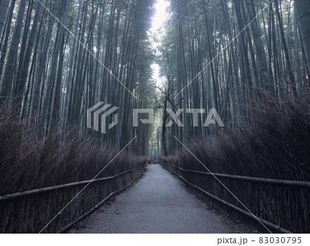 Arashiyama Bamboo Grove in Kyoto, Japan 83030795