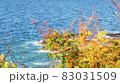 オタモイ海岸の海 83031509