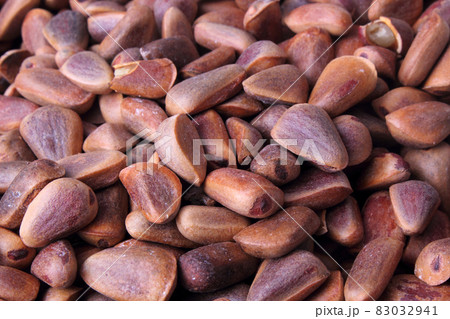Cedar nuts background 83032941