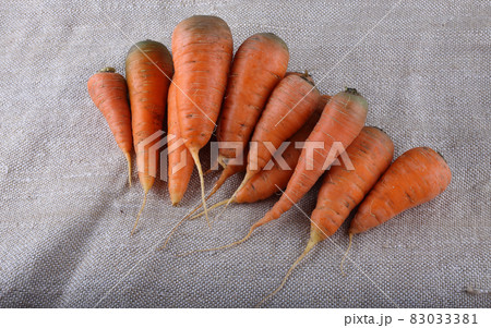 Carrots on bagging Carrots on bagging 83033381