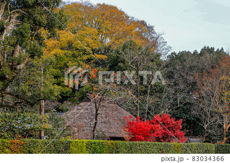 日本の原風景　京都嵯峨野 83034366