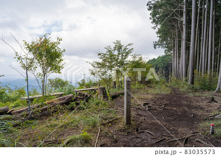麻生山の山頂(日の出山の白岩滝ハイキングコース) 麻生山の山頂(日の出山の白岩滝ハイキングコース) 83035573