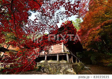 大国寺の紅葉 83035635