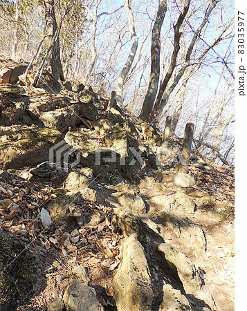 釜山神社　奥宮参道 83035977