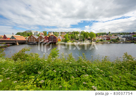 View from Nidaros Domkirke park to the colorful houses of the Tronheim old city in summer 83037754