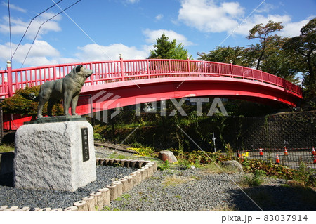 望郷のハチ公と桂城橋 83037914