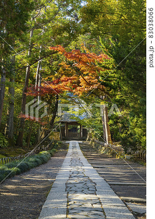 寿福寺 山門から続く参道 寿福寺 山門から続く参道 83038066
