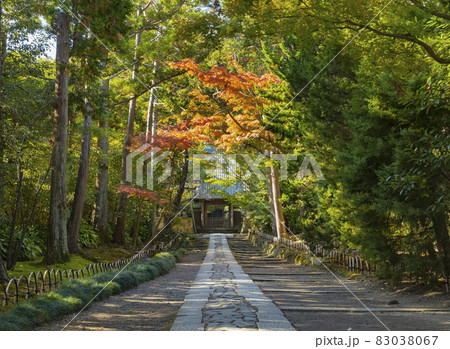 寿福寺　山門から続く参道 83038067