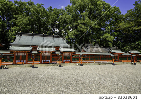 新宮　熊野速玉大社　上三殿と八社殿と鈴門　和歌山県新宮市 83038601