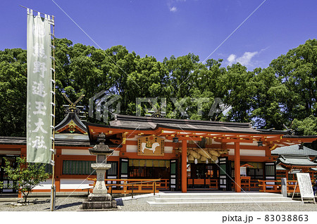 新宮 熊野速玉大社 拝殿 和歌山県新宮市 新宮 熊野速玉大社 拝殿 和歌山県新宮市 83038863