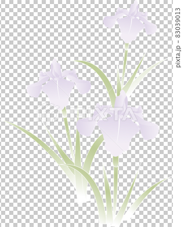 插圖素材：鳶尾花，兒童節，端午節，喪，寒，多，3 83039013