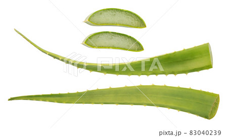 Green aloe vera on a white background. Green aloe vera on a white background. 83040239
