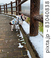 雪の日のフレブル 83040838