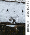 雪に犬の足跡 83040839