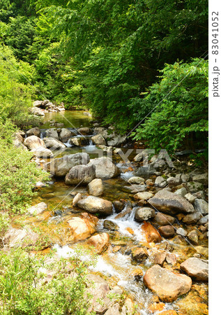 高賀渓谷（岐阜県関市） 83041052