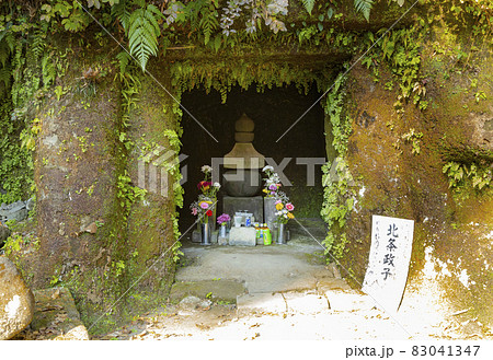 寿福寺　北条政子の墓 83041347