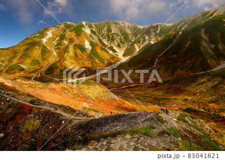 立山雷鳥沢への登山 83041621