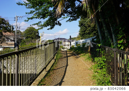 道保川緑地 83042066