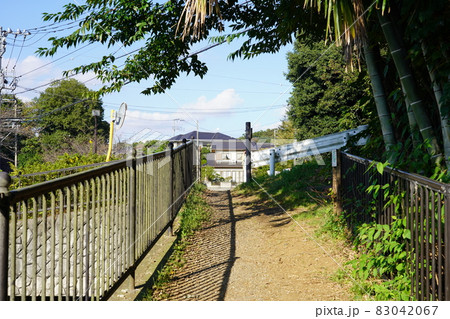 道保川緑地 83042067