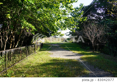 道保川緑地 道保川緑地 83042077
