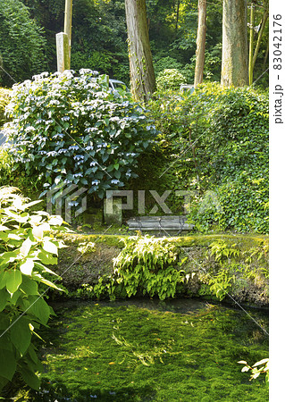 浄智寺 甘露の井 浄智寺 甘露の井 83042176