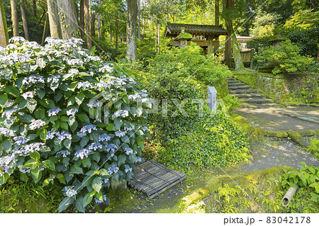 浄智寺 甘露の井と山門 浄智寺 甘露の井と山門 83042178