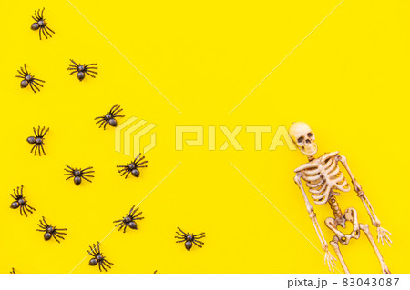 Halloween minimal decorations, composition with many black spiders and skeleton isolated on yellow background. Halloween celebration trick or treat concept. Flat lay top view copy space. 83043087